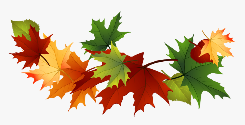 Detail Fall Leaves Clip Art Png Nomer 18