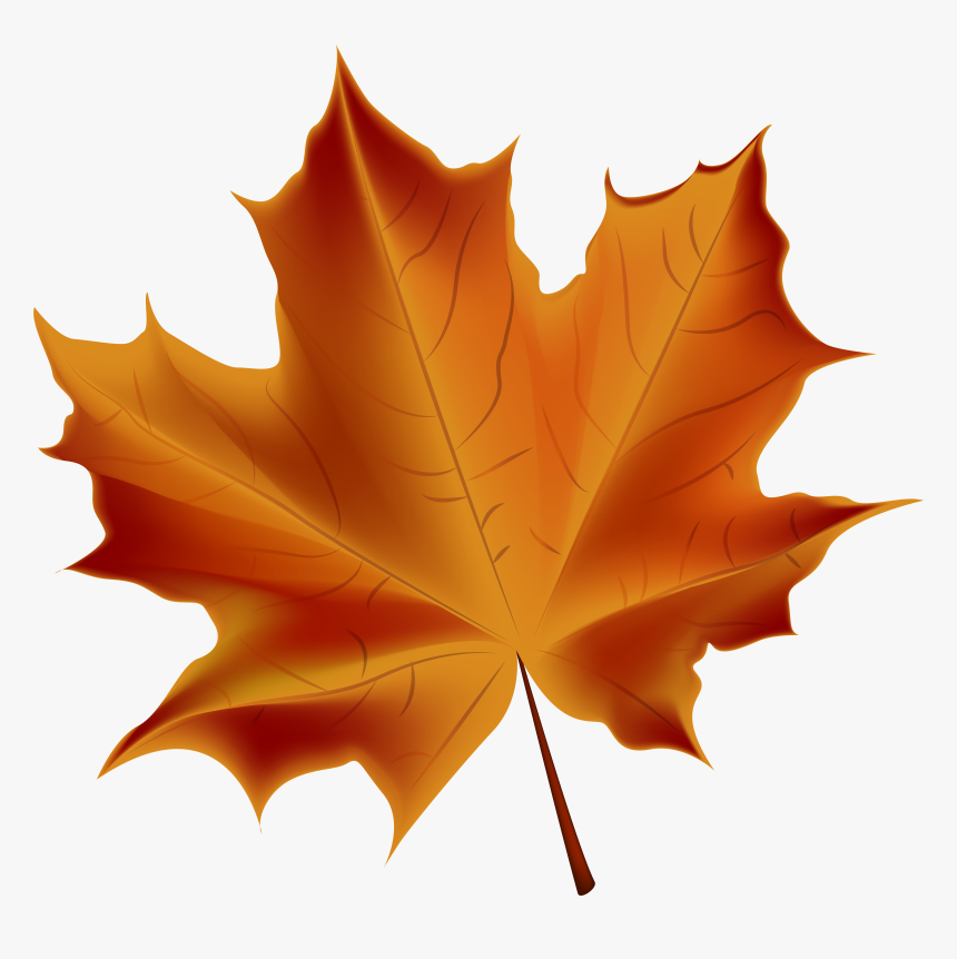 Detail Fall Leaves Clip Art Png Nomer 19