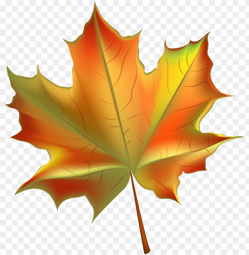 Detail Fall Leaves Clip Art Png Nomer 24