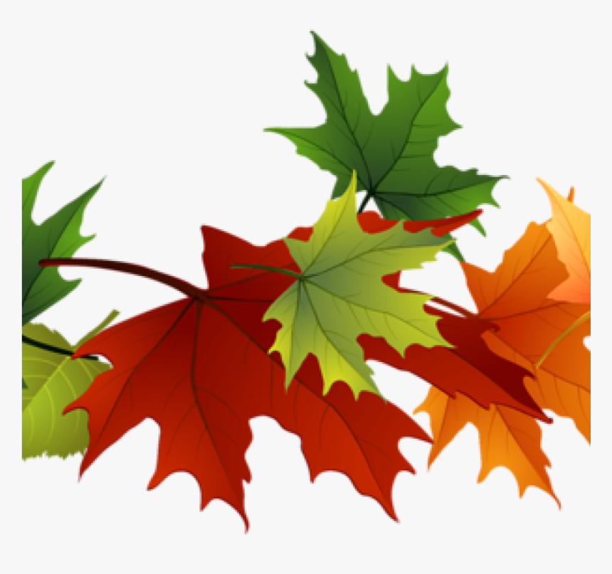 Detail Fall Leaves Clip Art Png Nomer 25