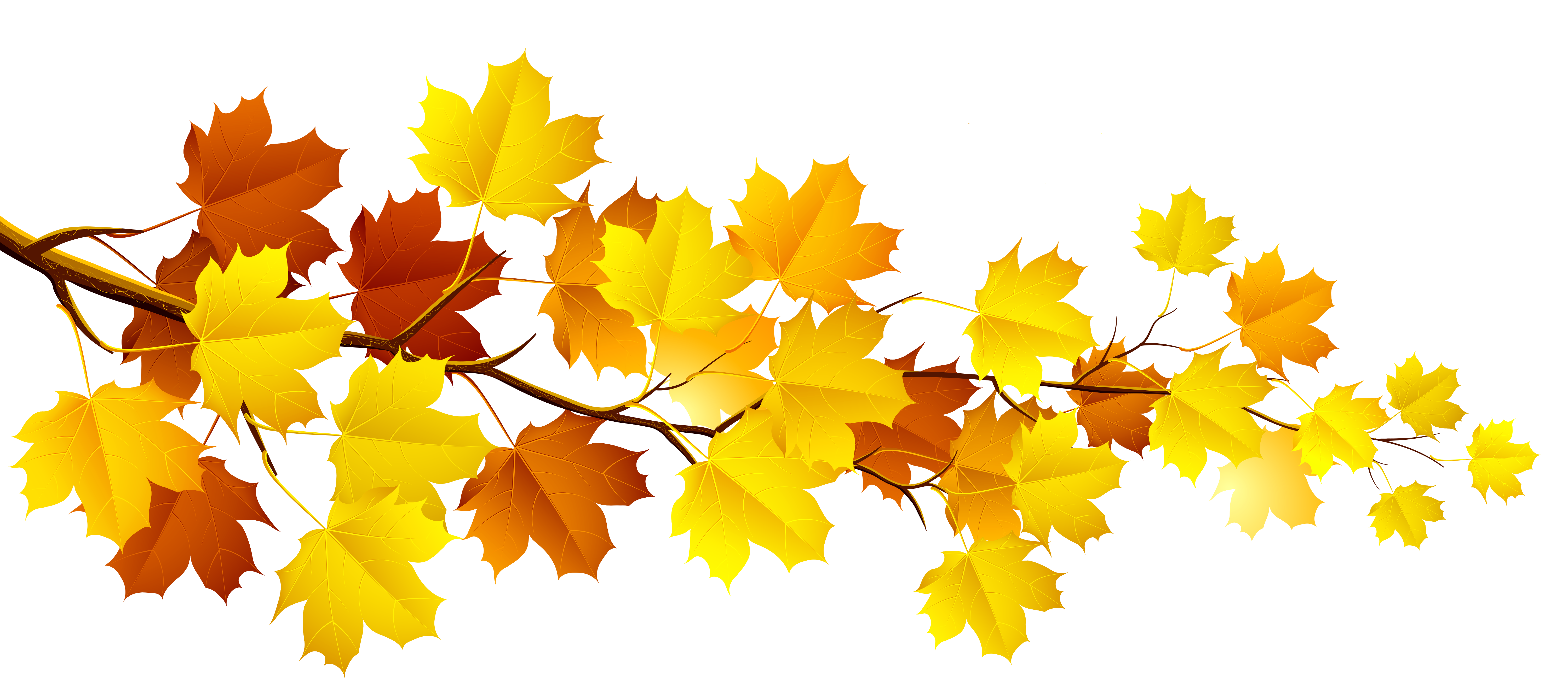 Detail Fall Leaves Clip Art Png Nomer 27