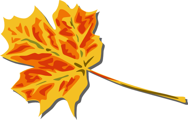 Detail Fall Leaves Clip Art Png Nomer 29