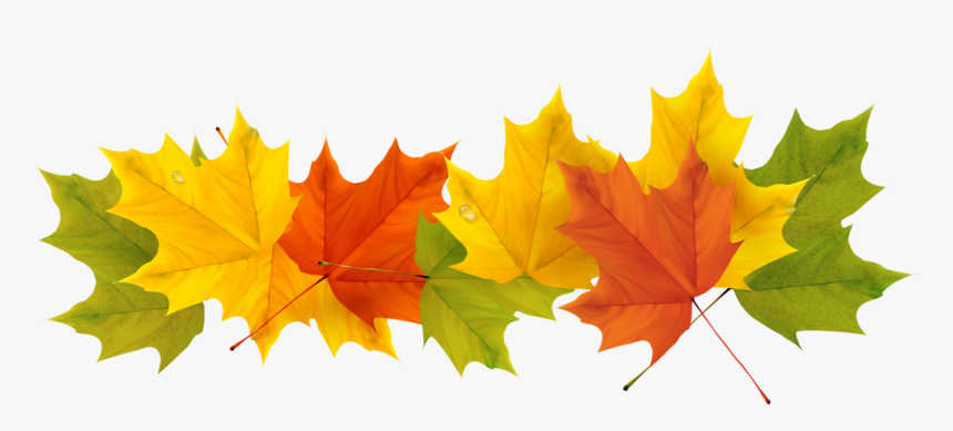 Detail Fall Leaves Clip Art Png Nomer 33