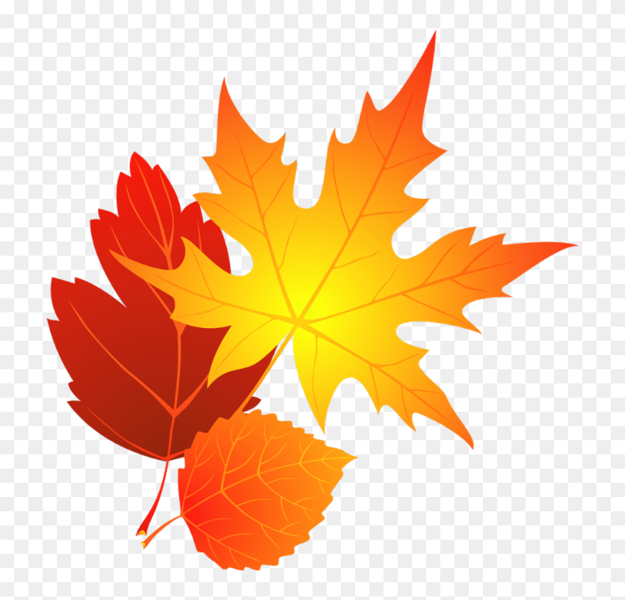 Detail Fall Leaves Clip Art Png Nomer 5