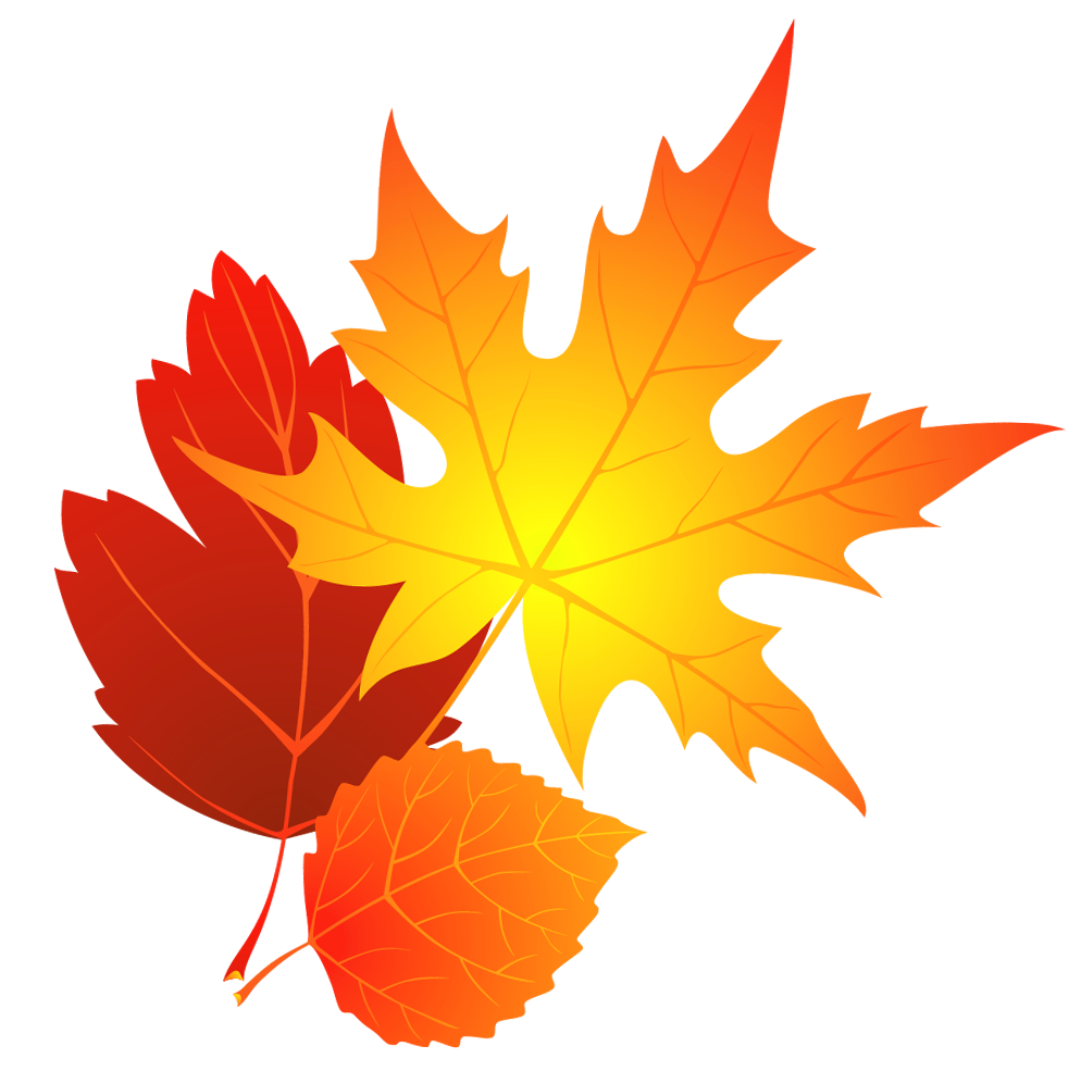 Detail Fall Leaves Clipart Free Nomer 2
