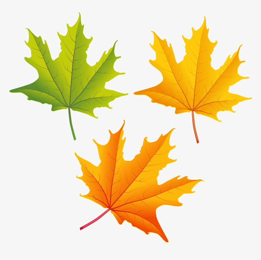 Detail Fall Leaves Clipart Free Nomer 10