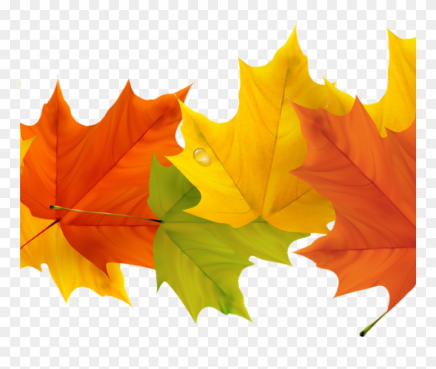 Detail Fall Leaves Clipart Free Nomer 29