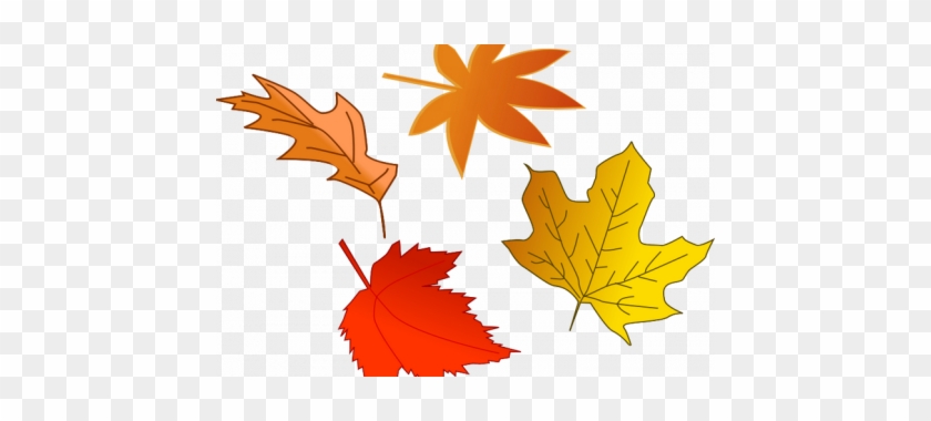 Detail Fall Leaves Clipart Free Nomer 33