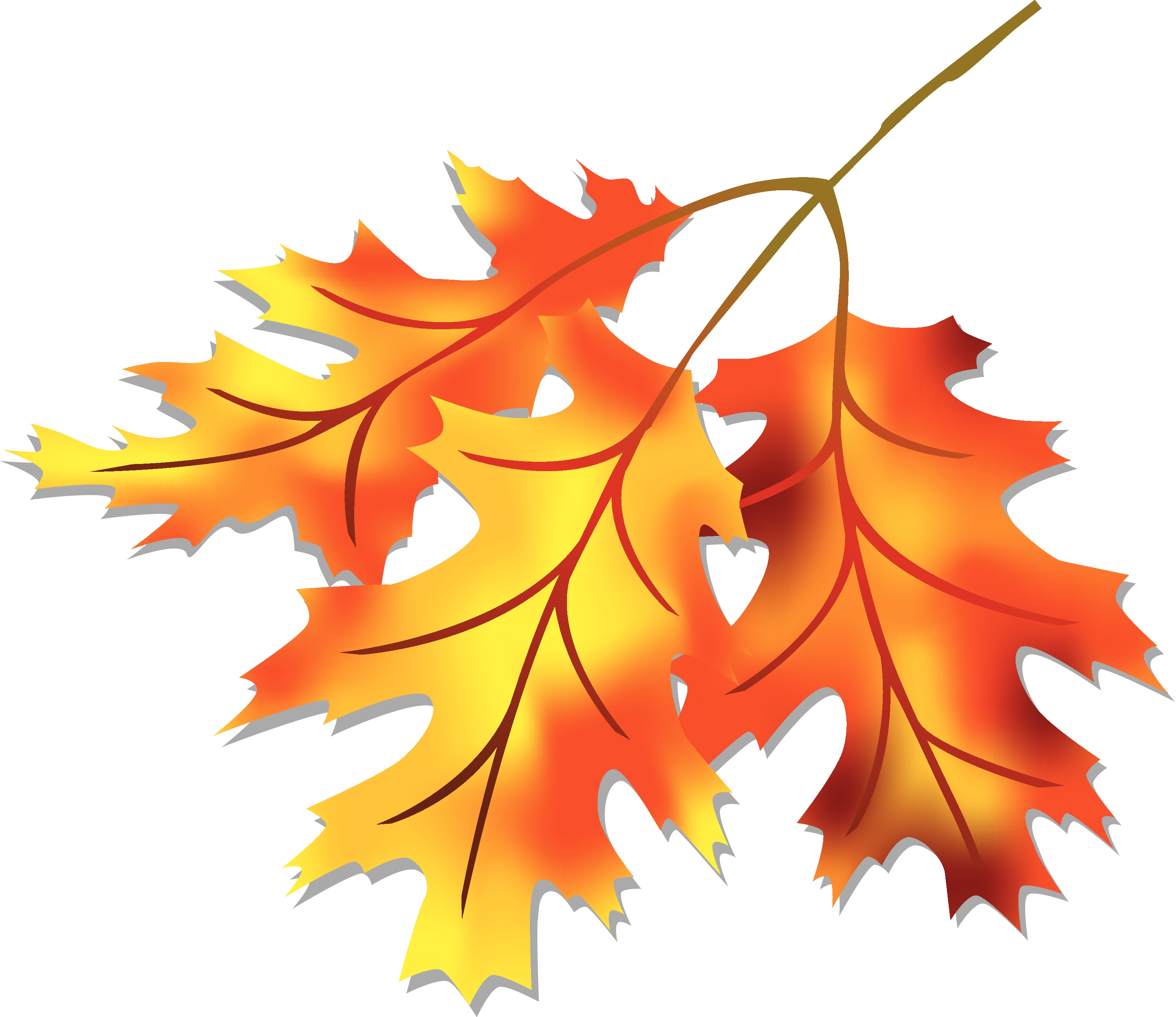 Detail Fall Leaves Clipart Free Nomer 9