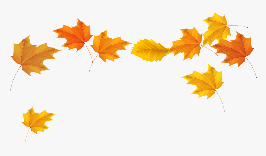 Detail Fall Leaves Clipart Transparent Nomer 19