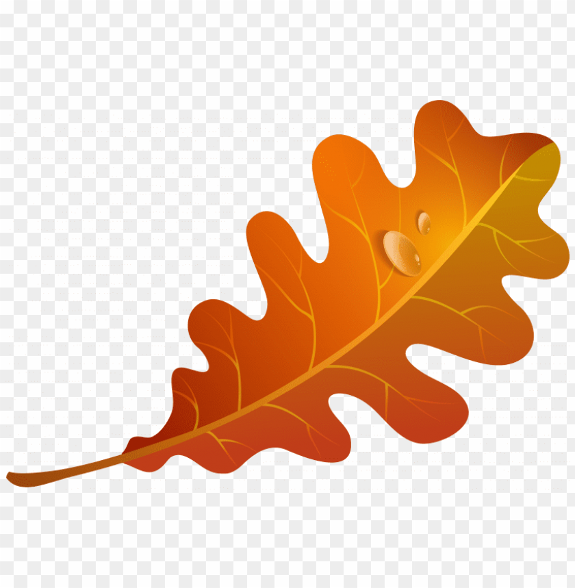 Detail Fall Leaves Clipart Transparent Nomer 23