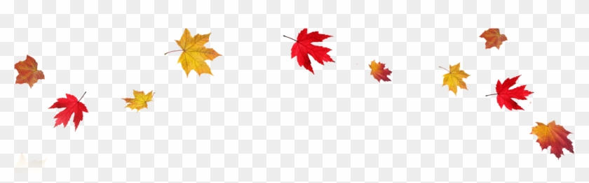 Detail Fall Leaves Clipart Transparent Nomer 36