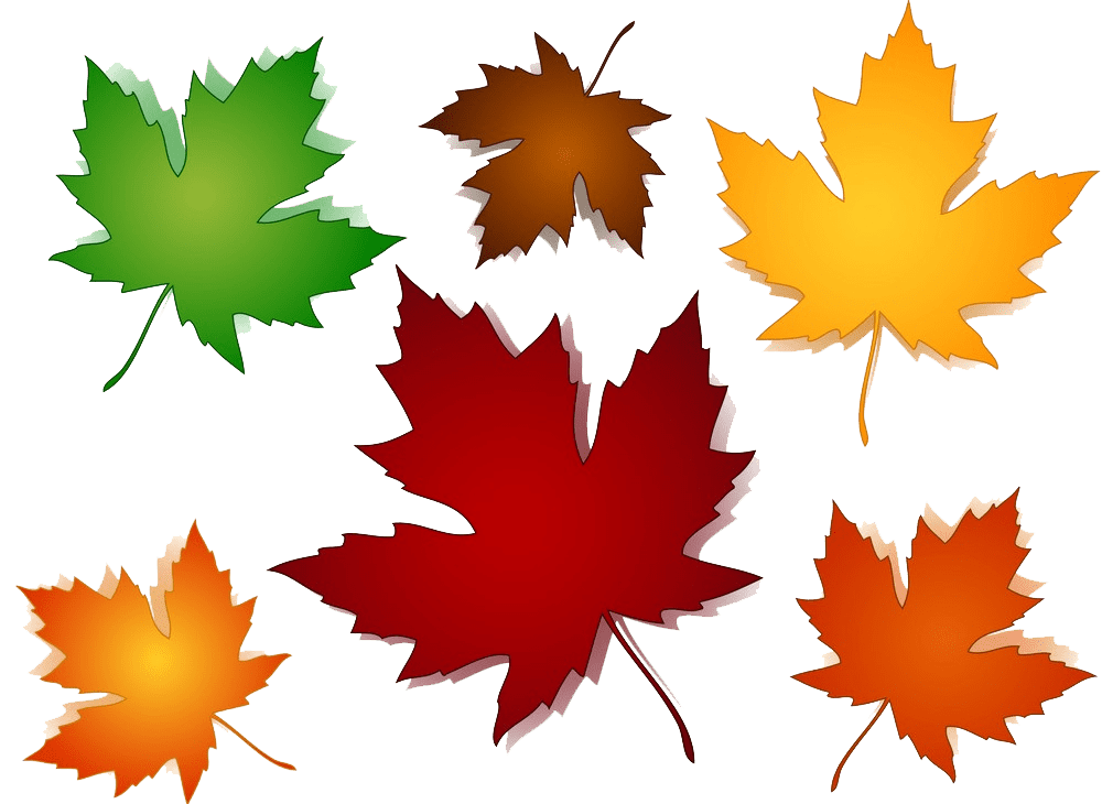 Detail Fall Leaves Clipart Transparent Nomer 37