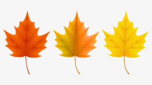 Detail Fall Leaves Clipart Transparent Nomer 40