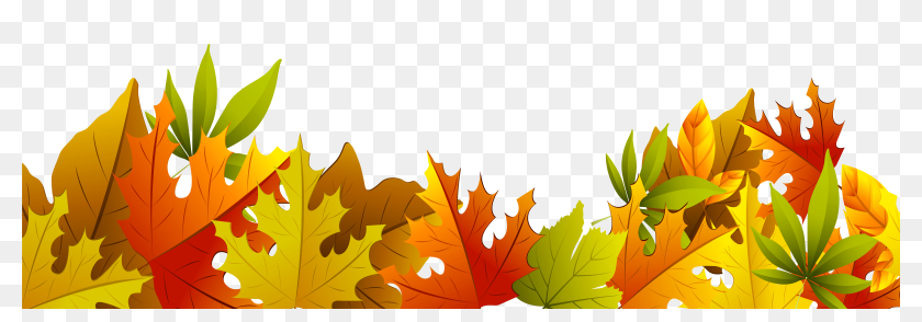 Detail Fall Leaves Clipart Transparent Nomer 55