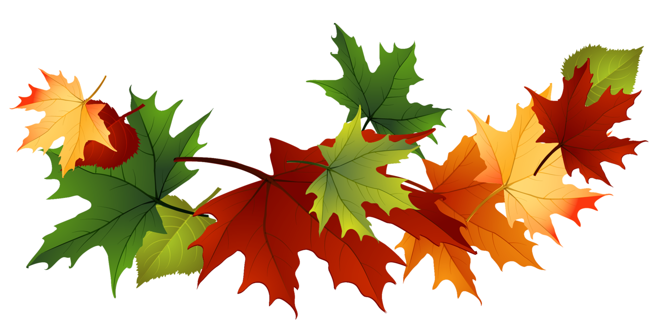 Detail Fall Leaves Clipart Transparent Nomer 5