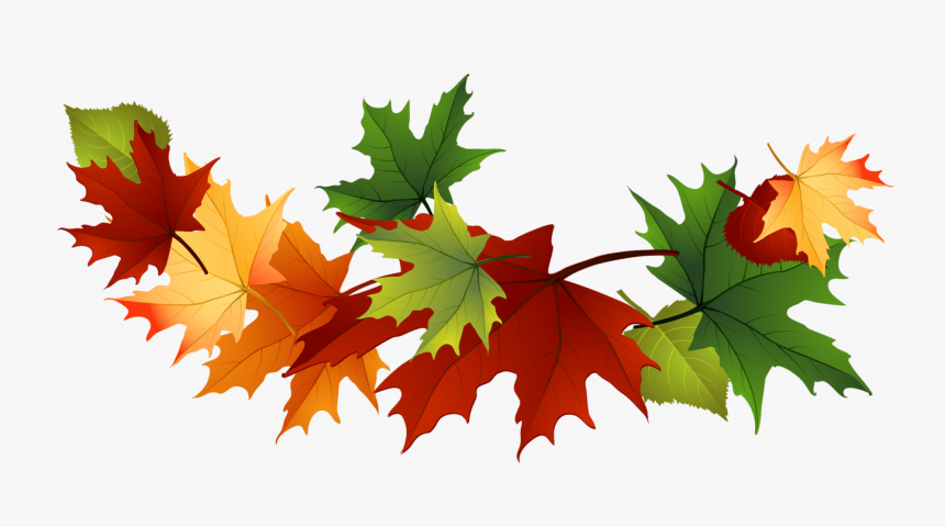 Detail Fall Leaves Clipart Transparent Background Nomer 15