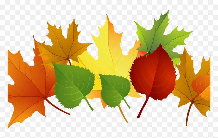 Detail Fall Leaves Clipart Transparent Background Nomer 21