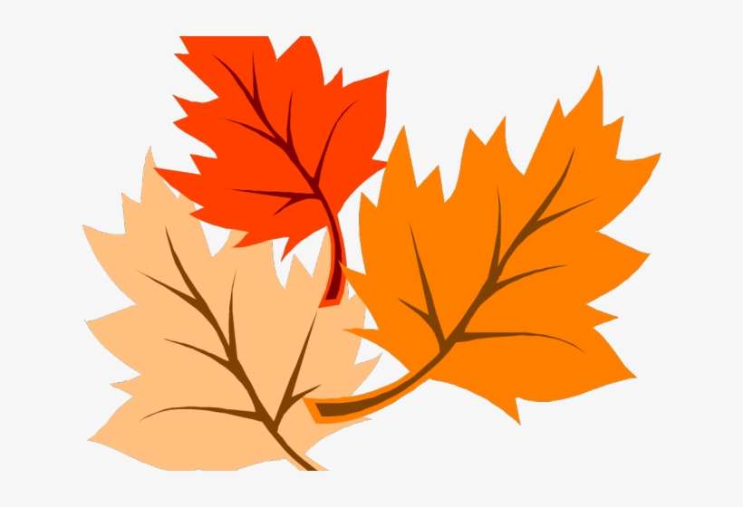 Detail Fall Leaves Clipart Transparent Background Nomer 22