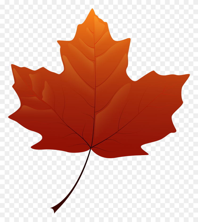 Detail Fall Leaves Clipart Transparent Background Nomer 24