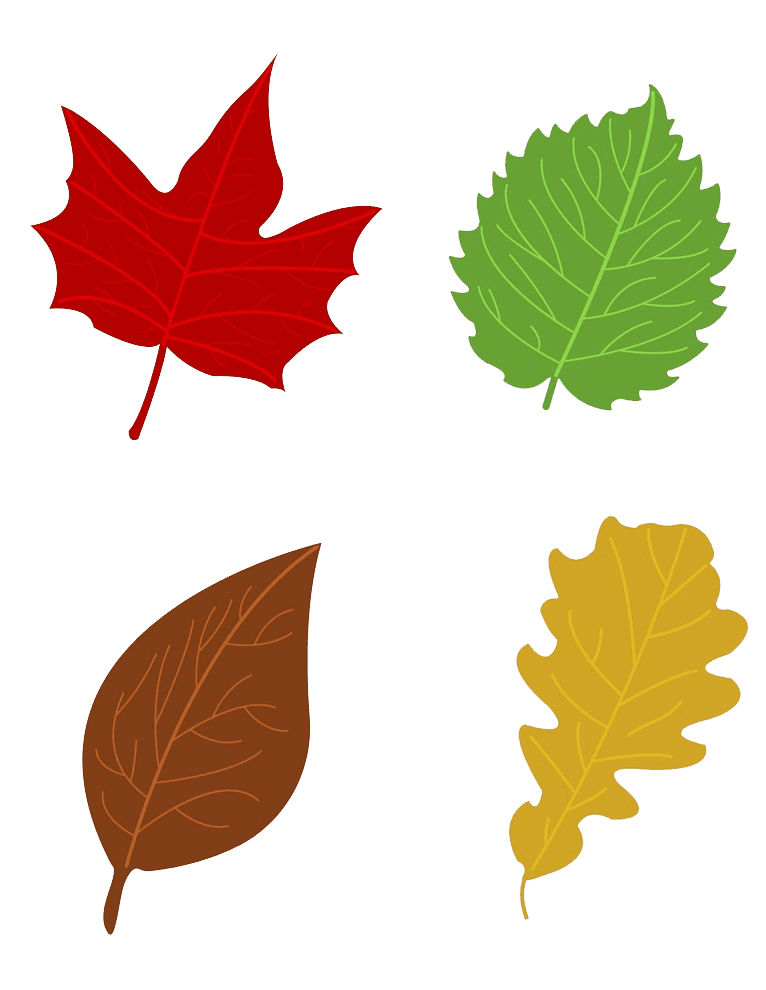 Detail Fall Leaves Clipart Transparent Background Nomer 36