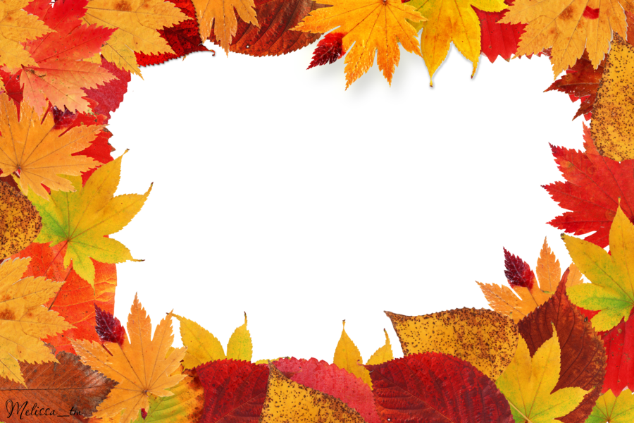 Detail Fall Leaves Frame Png Nomer 2