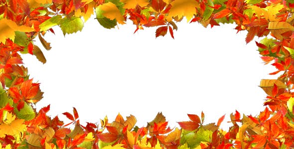 Detail Fall Leaves Frame Png Nomer 20