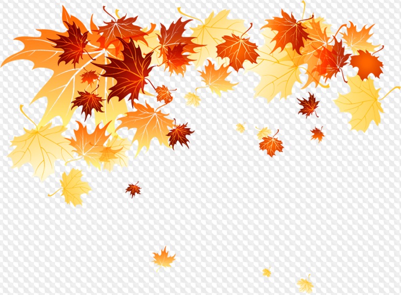 Detail Fall Leaves Frame Png Nomer 22