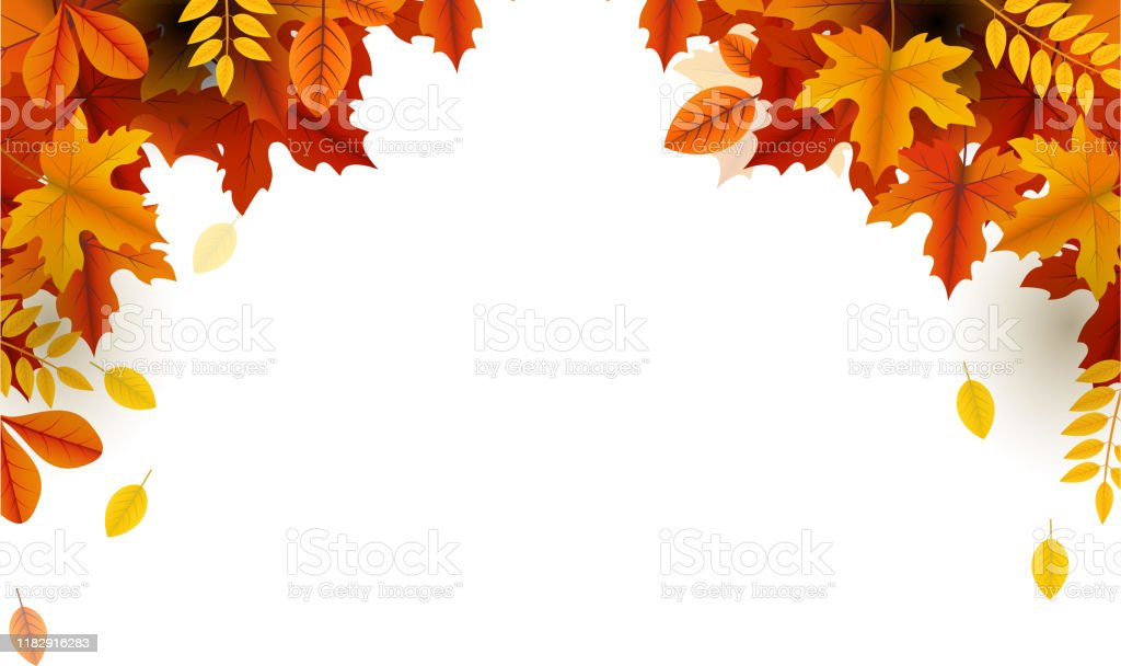 Detail Fall Leaves Frame Png Nomer 32
