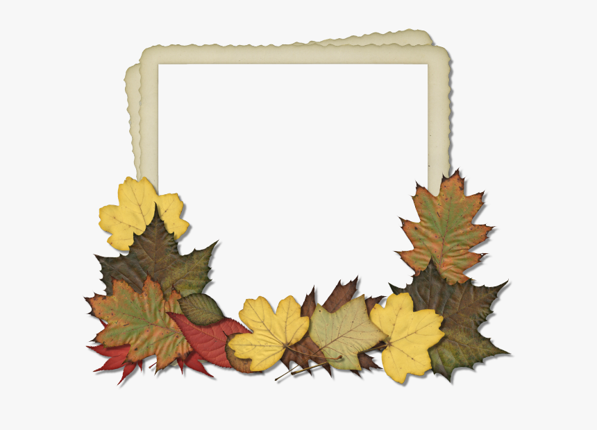 Detail Fall Leaves Frame Png Nomer 36
