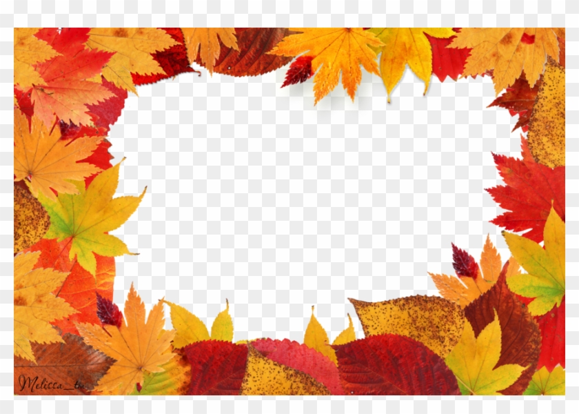 Detail Fall Leaves Frame Png Nomer 5