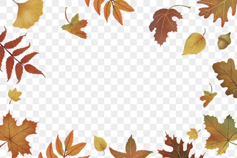 Detail Fall Leaves Frame Png Nomer 41