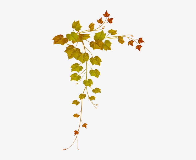 Detail Fall Leaves Frame Png Nomer 42