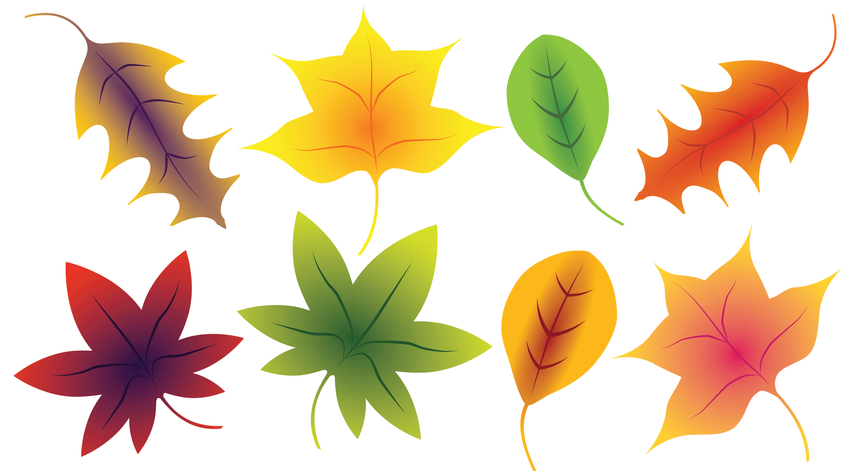 Detail Fall Leaves Free Clipart Nomer 2