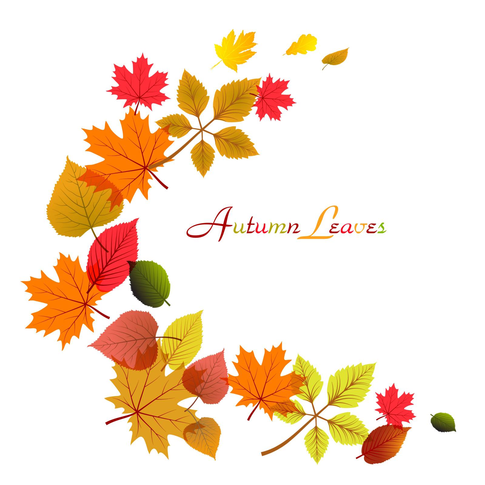 Detail Fall Leaves Free Clipart Nomer 11