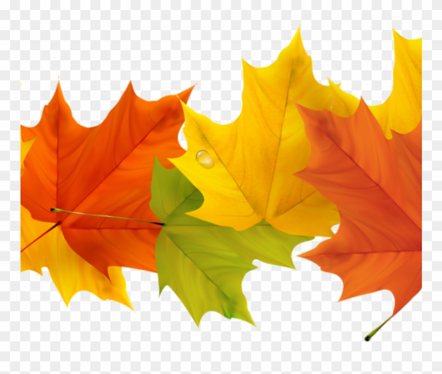 Detail Fall Leaves Free Clipart Nomer 13