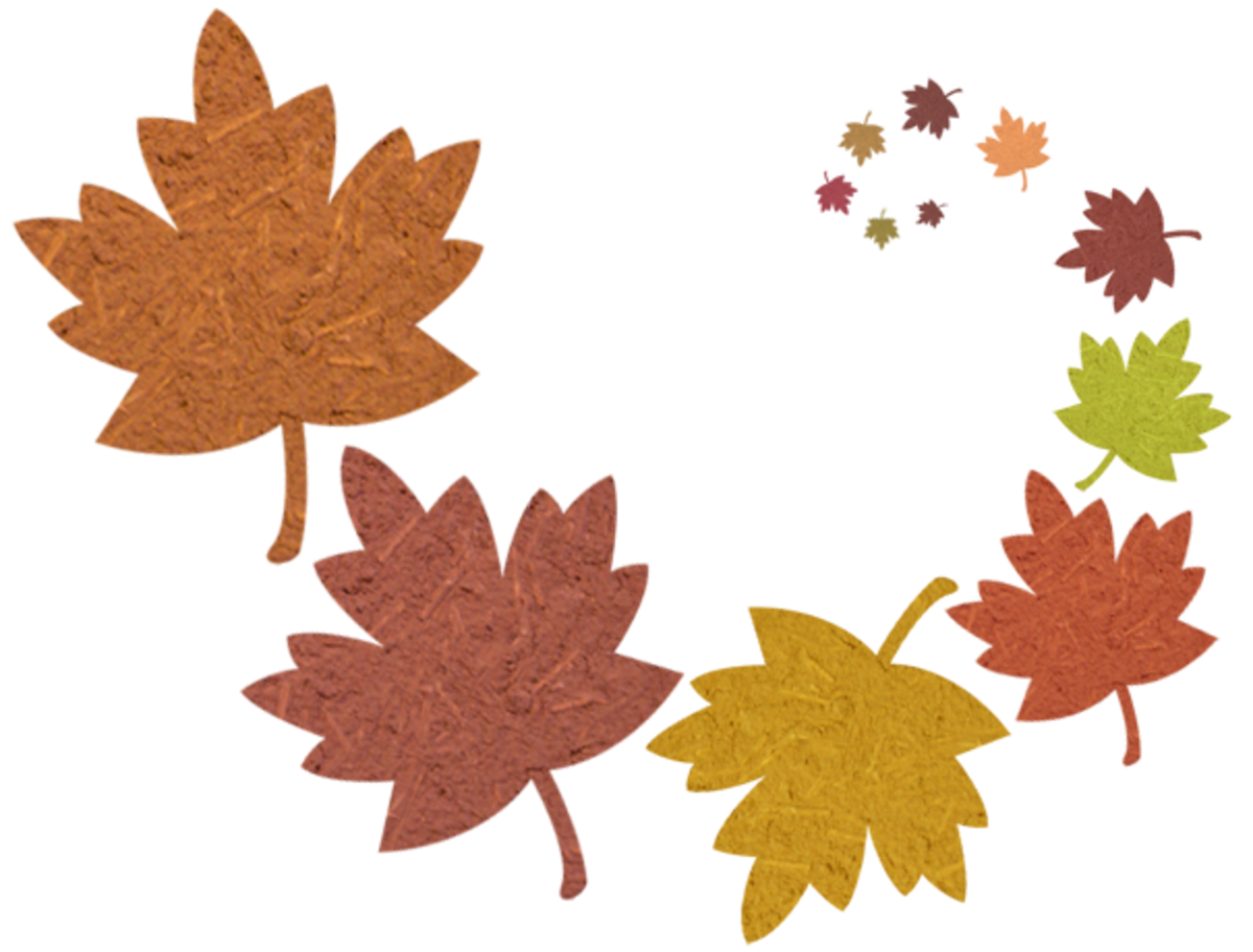 Detail Fall Leaves Free Clipart Nomer 21