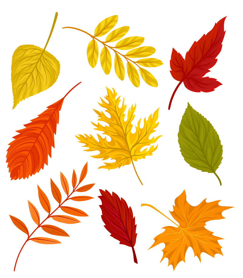Detail Fall Leaves Free Clipart Nomer 29