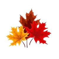 Detail Fall Leaves Free Clipart Nomer 30