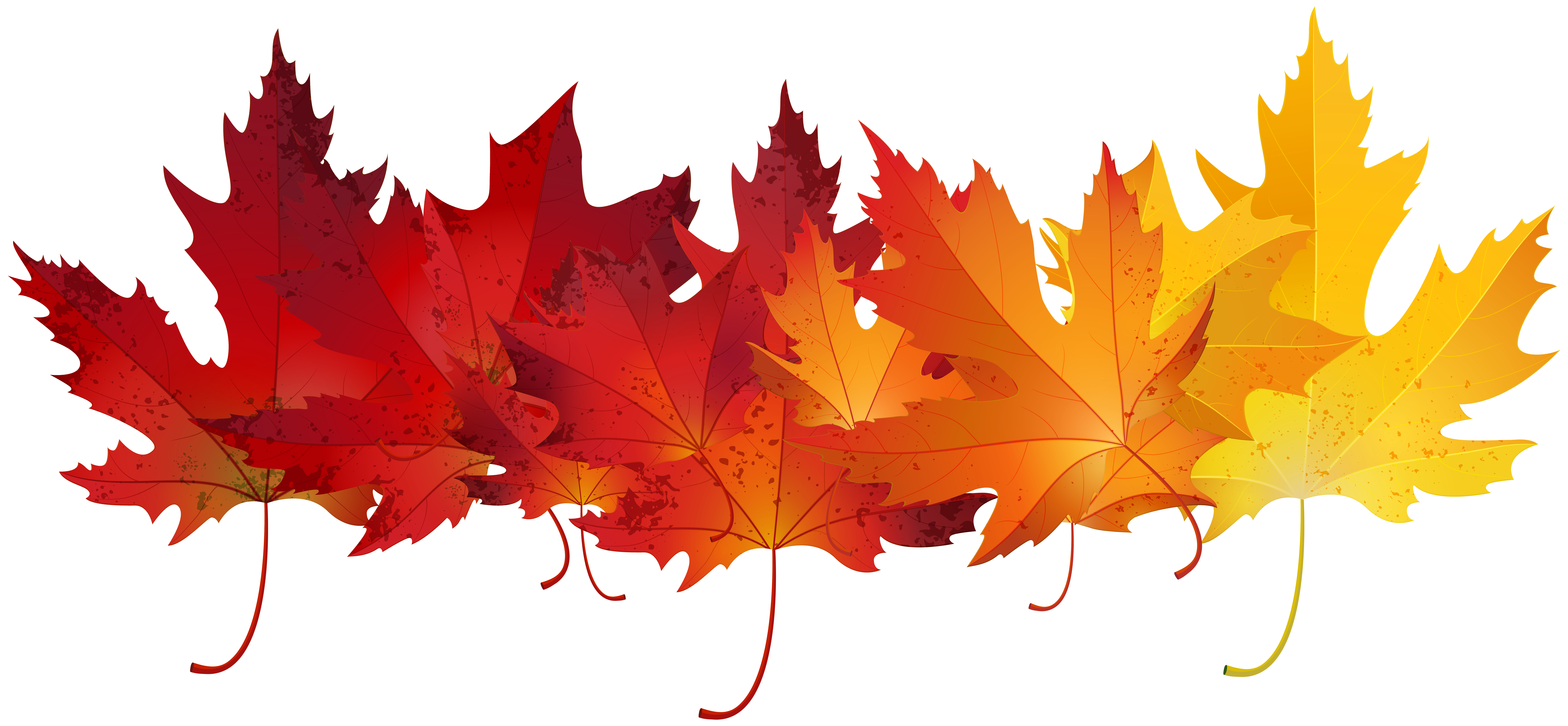 Detail Fall Leaves Free Clipart Nomer 38