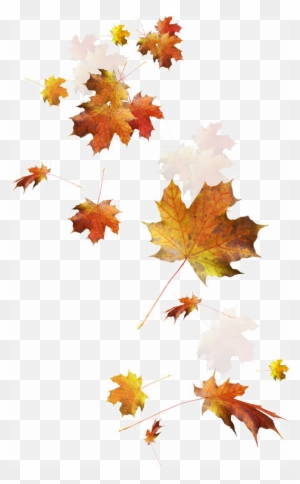 Detail Fall Leaves Free Clipart Nomer 39