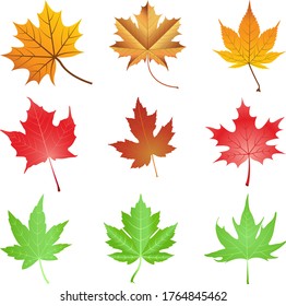 Detail Fall Leaves Free Clipart Nomer 43