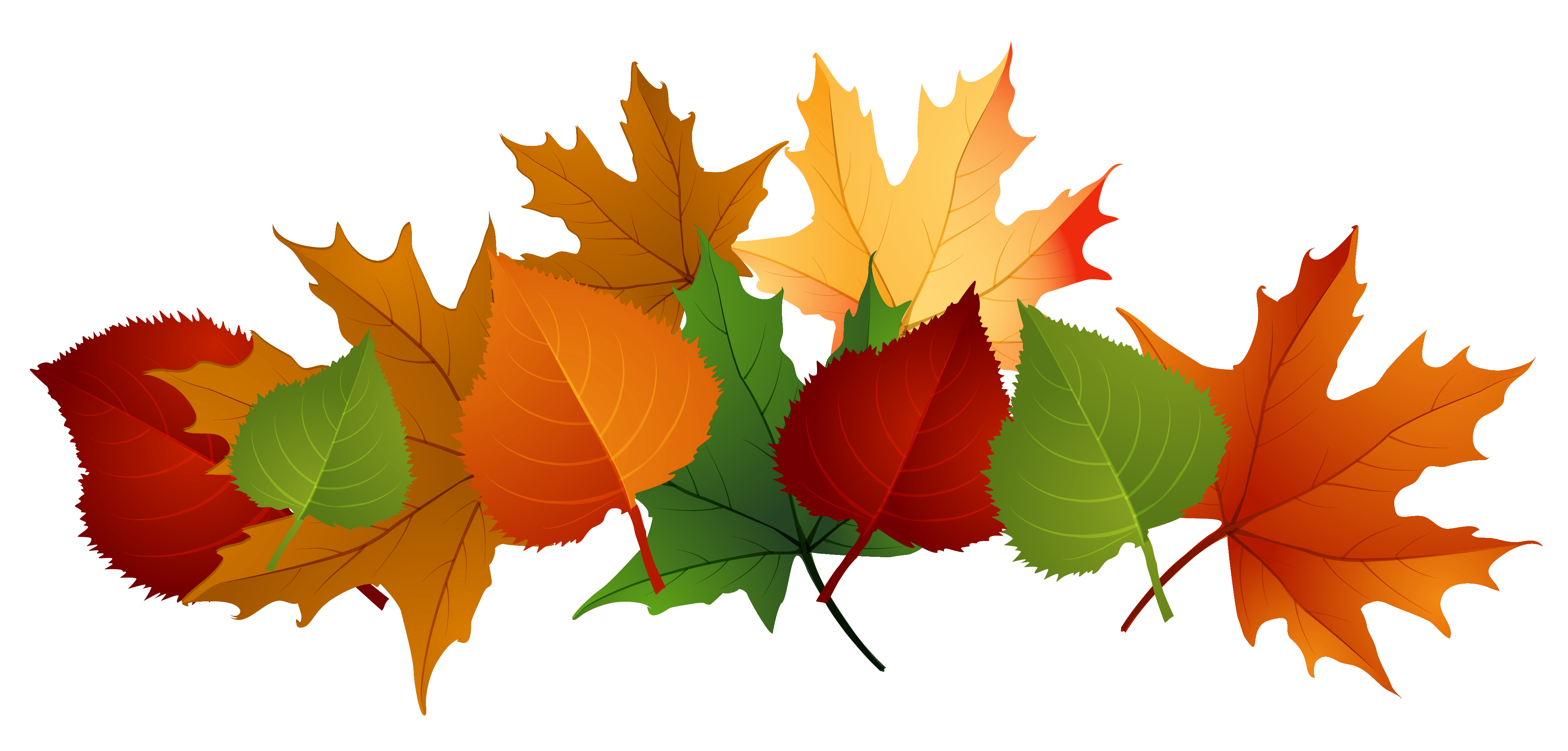 Detail Fall Leaves Free Clipart Nomer 7