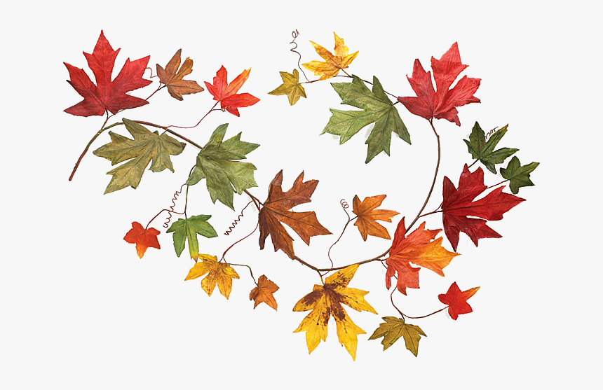 Detail Fall Leaves Garland Clipart Nomer 16