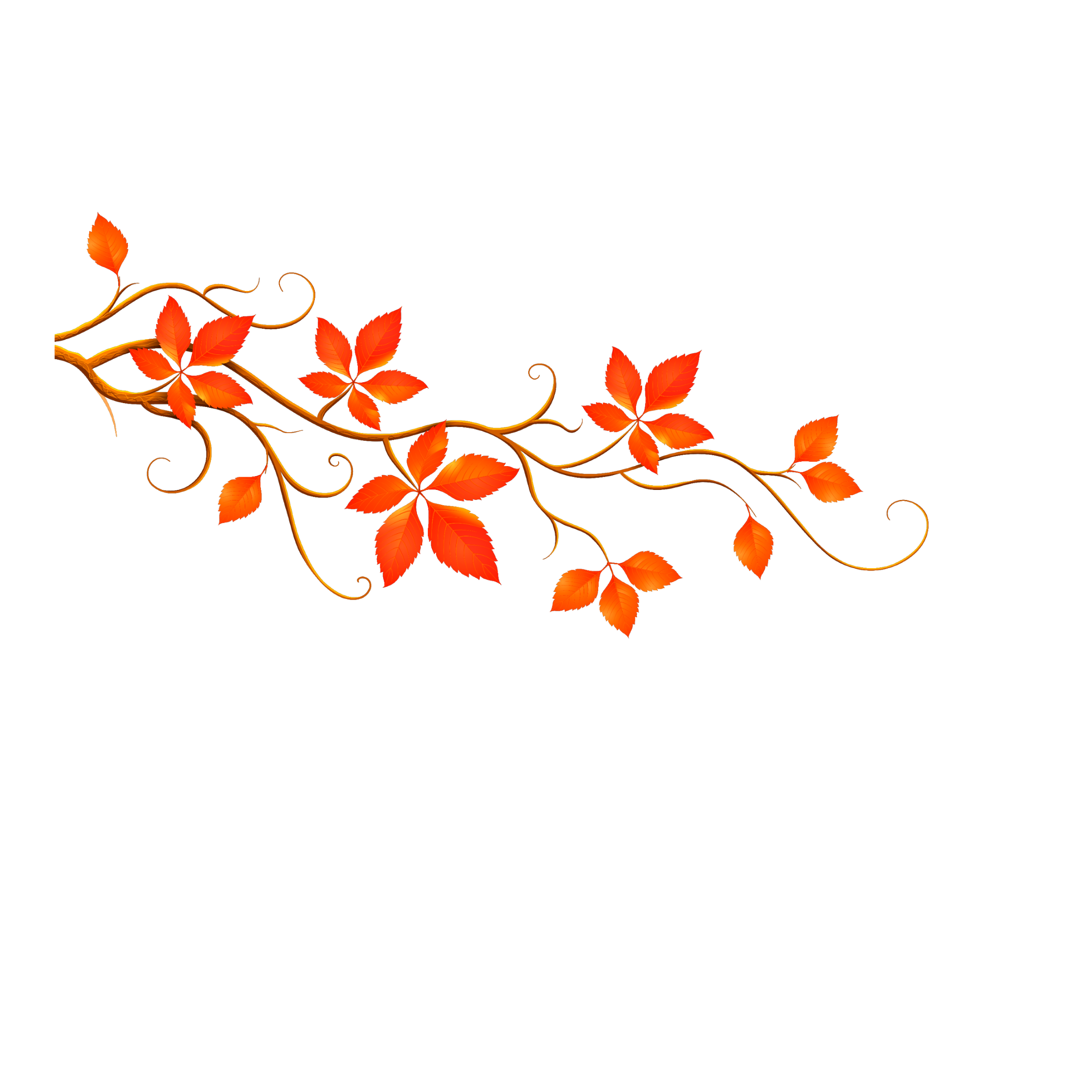 Detail Fall Leaves Garland Clipart Nomer 50
