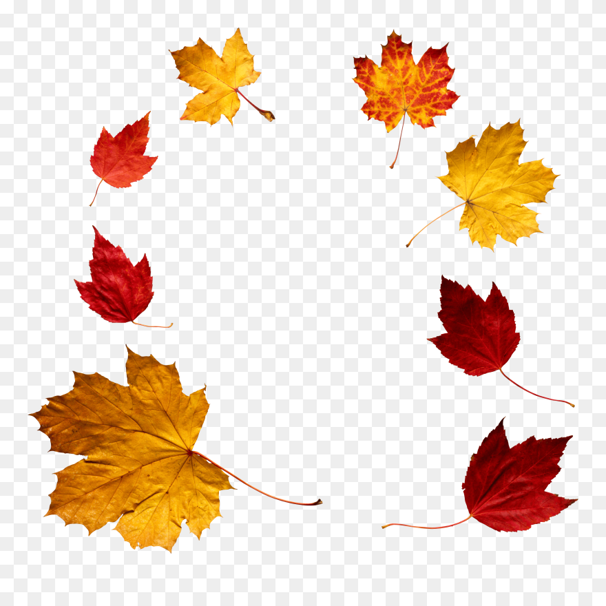 Detail Fall Leaves Png Nomer 20