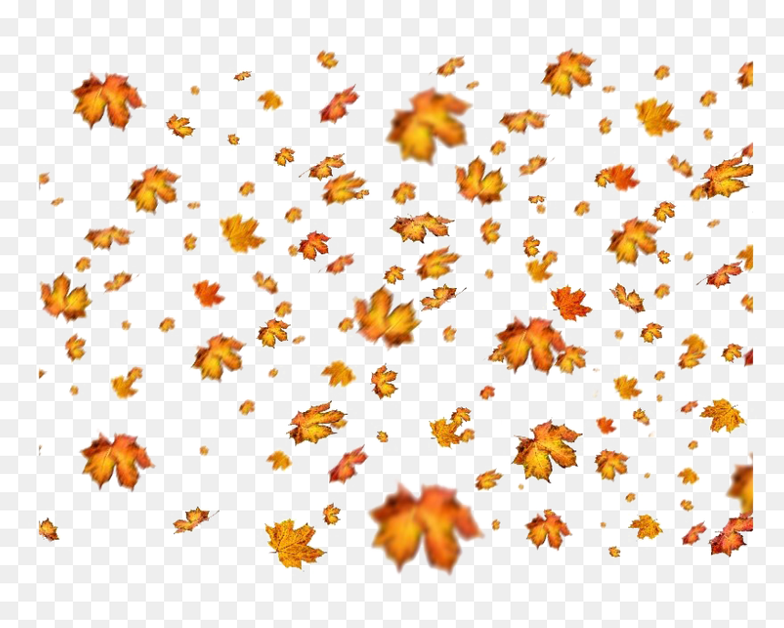 Detail Fall Leaves Png Nomer 36