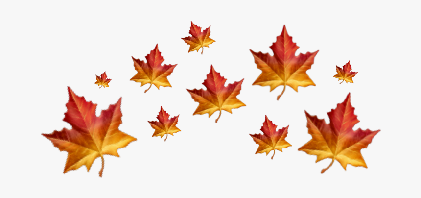 Download Fall Leaves Png Nomer 45