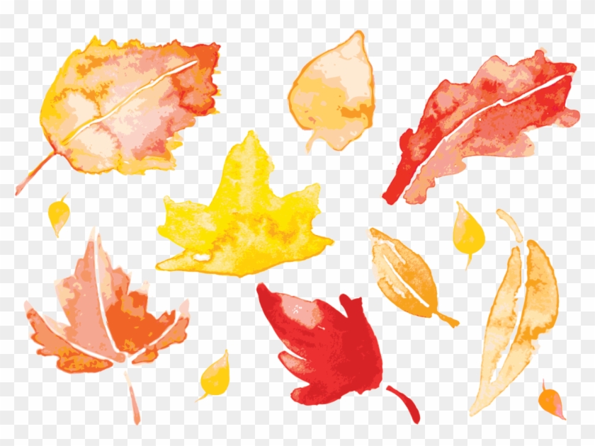 Detail Fall Leaves Png Nomer 54