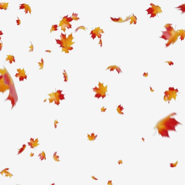 Detail Fall Leaves Png Nomer 8